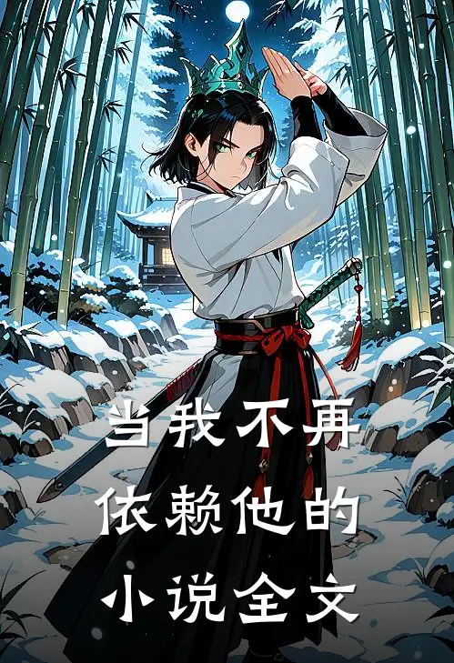 当我不再依赖他的小说全文