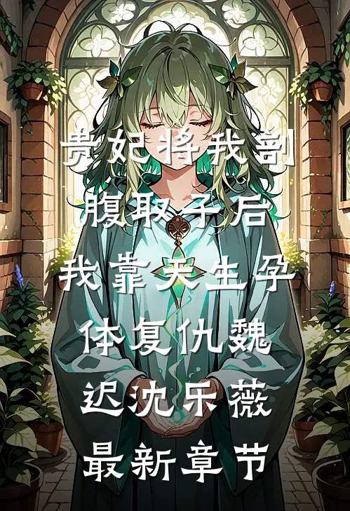 贵妃将我剖腹取子后，我靠天生孕体复仇魏迟沈乐薇最新章节