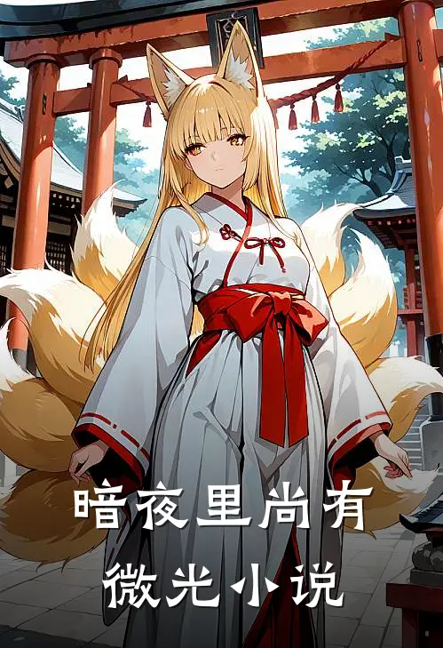 暗夜里尚有微光小说