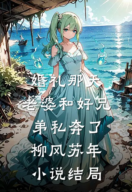 婚礼那天，老婆和好兄弟私奔了柳风苏年小说结局