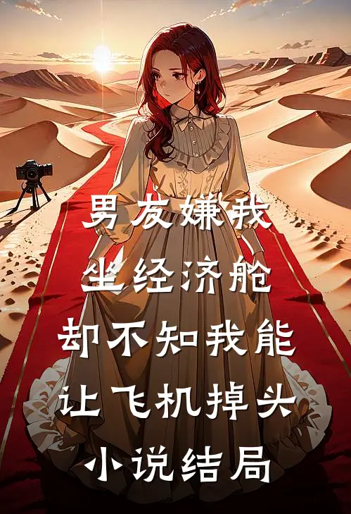 男友嫌我坐经济舱，却不知我能让飞机掉头小说结局