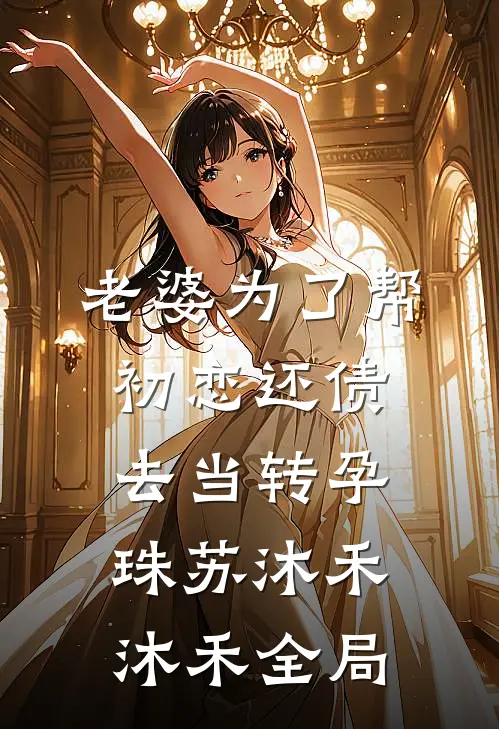 老婆为了帮初恋还债去当转孕珠苏沐禾沐禾全局