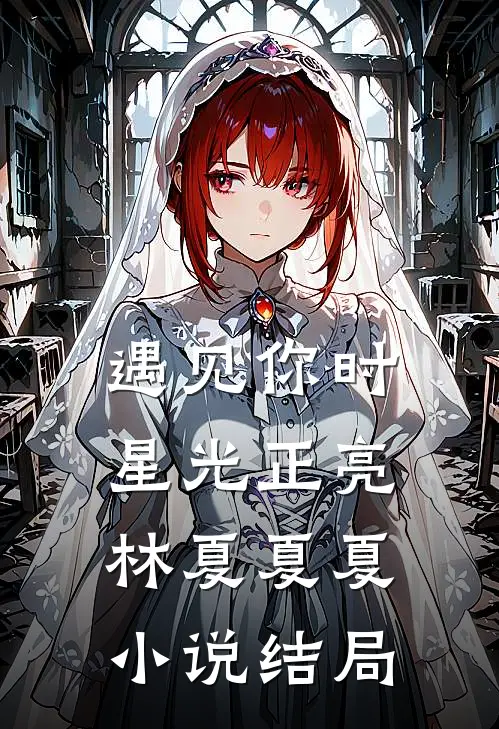 遇见你时，星光正亮林夏夏夏小说结局