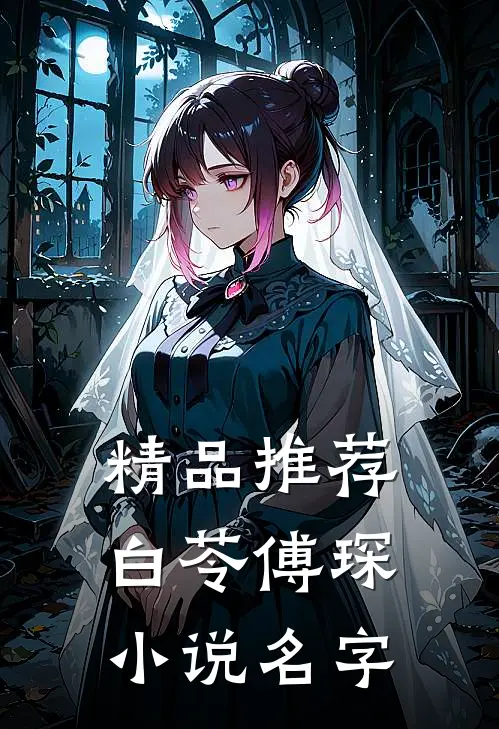 精品推荐白苓傅琛小说名字
