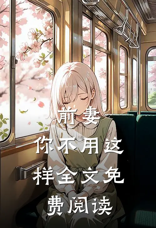 前妻，你不用这样全文免费阅读