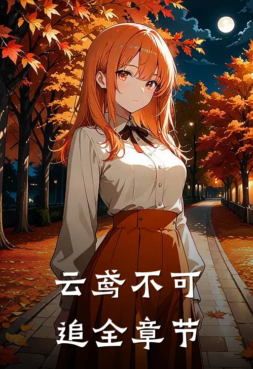云鸢不可追全章节