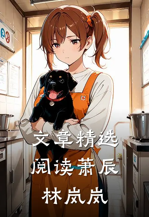 文章精选阅读萧辰林岚岚