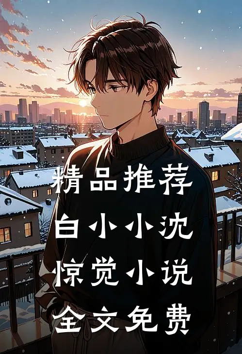 精品推荐白小小沈惊觉小说全文免费