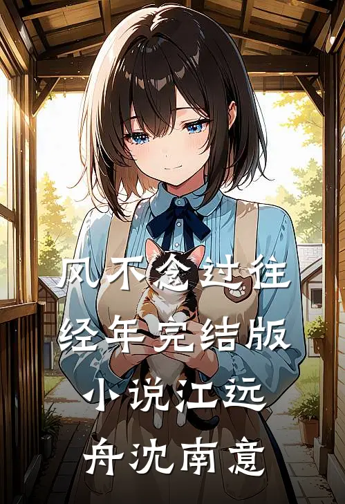 风不念过往经年完结版小说江远舟沈南意