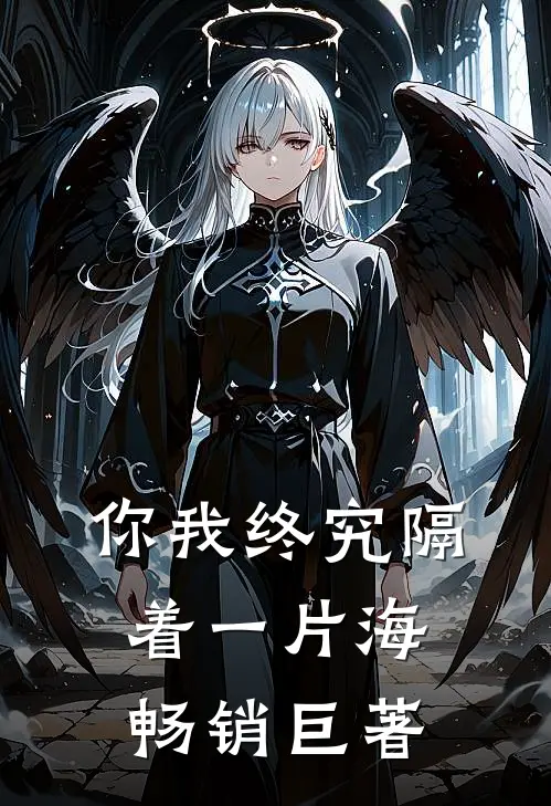 你我终究隔着一片海畅销巨著