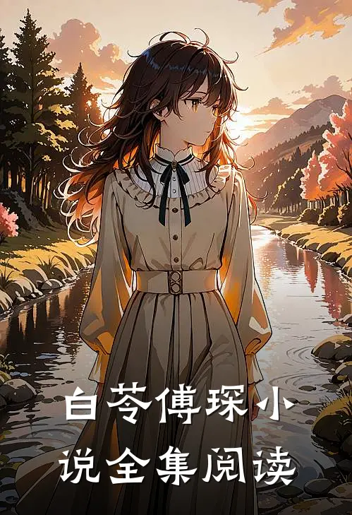 白苓傅琛小说全集阅读