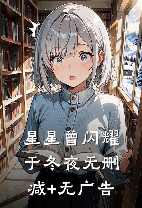 星星曾闪耀于冬夜无删减+无广告