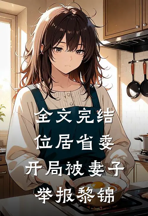 全文完结位居省委,开局被妻子举报黎锦