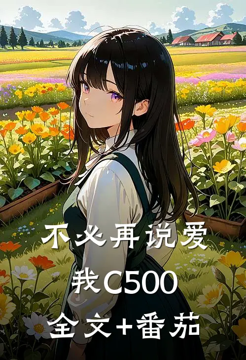 不必再说爱我C500全文+番茄