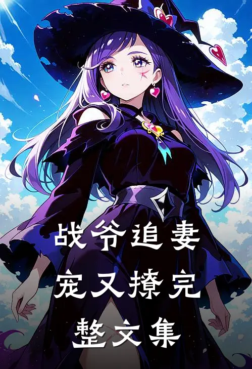战爷追妻宠又撩完整文集
