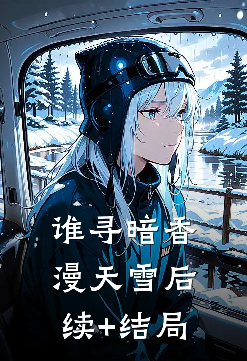 谁寻暗香漫天雪后续+结局