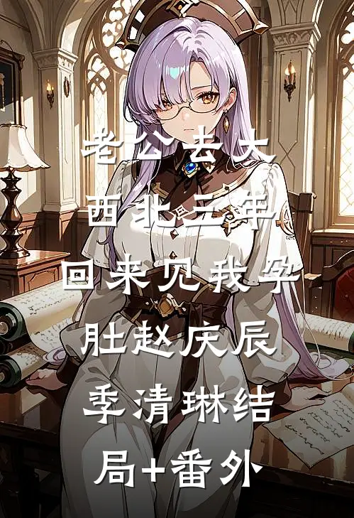 老公去大西北三年，回来见我孕肚赵庆辰季清琳结局+番外