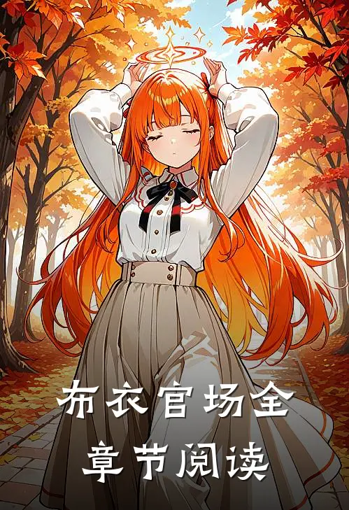 布衣官场全章节阅读