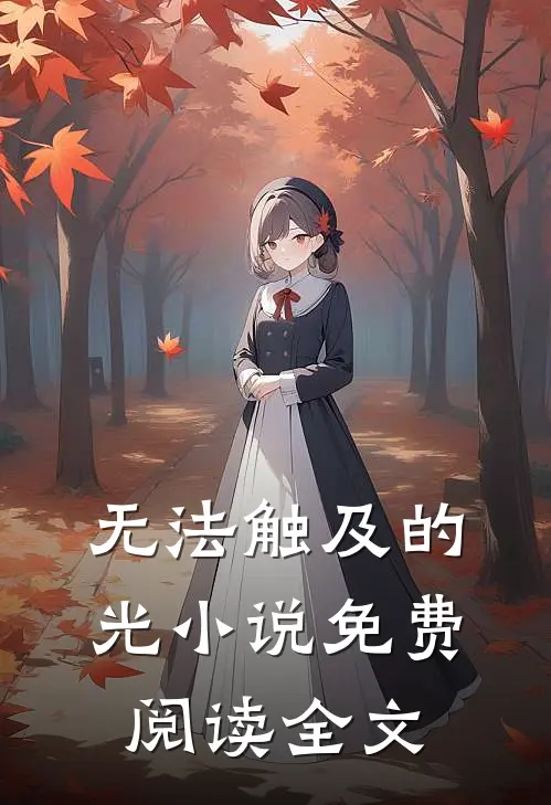 无法触及的光小说免费阅读全文