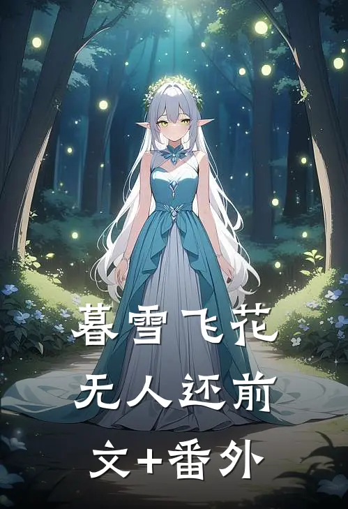暮雪飞花无人还前文+番外