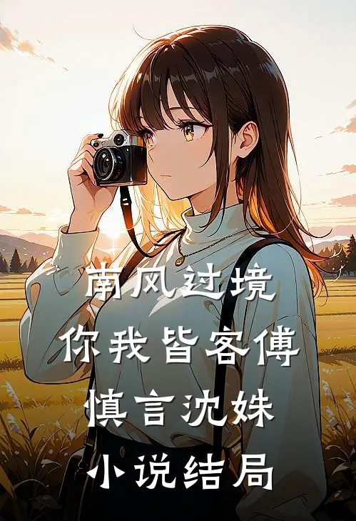南风过境，你我皆客傅慎言沈姝小说结局