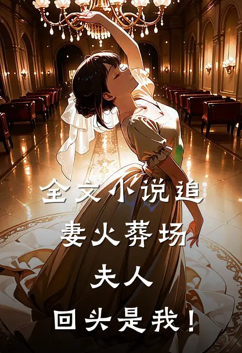全文小说追妻火葬场：夫人，回头是我！