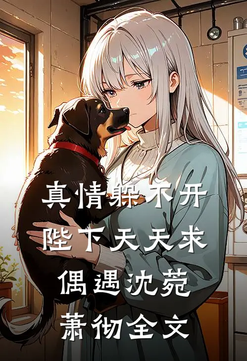 真情躲不开陛下天天求偶遇沈菀萧彻全文