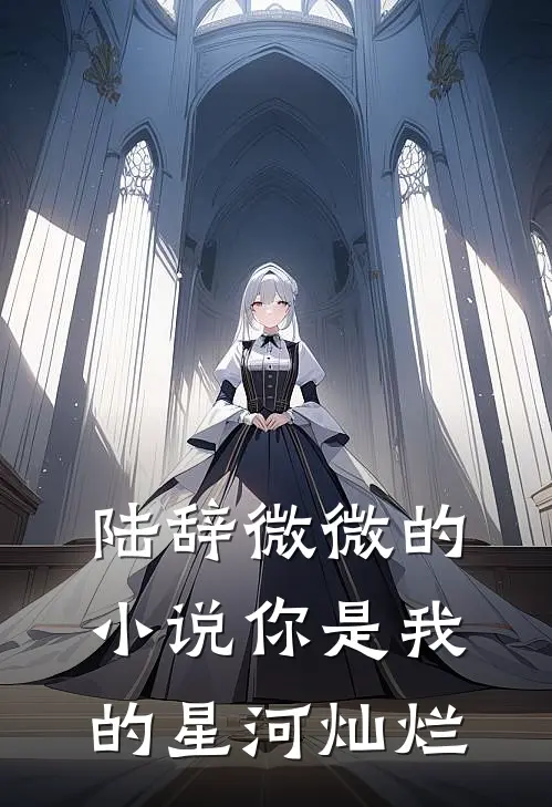 陆辞微微的小说你是我的星河灿烂