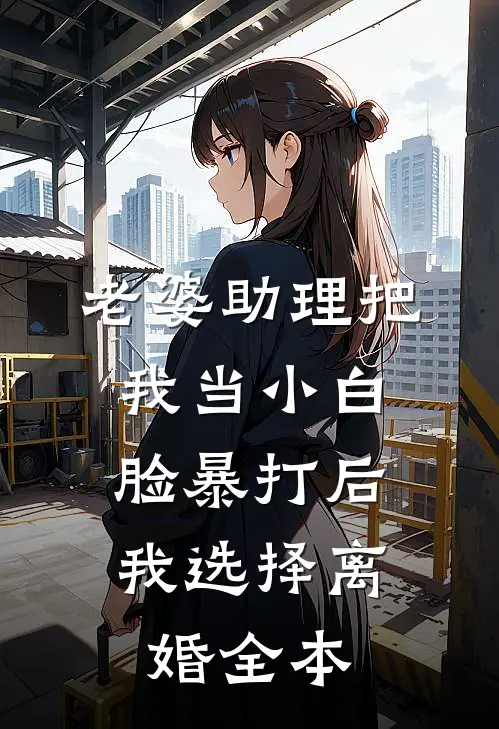 老婆助理把我当小白脸暴打后，我选择离婚全本