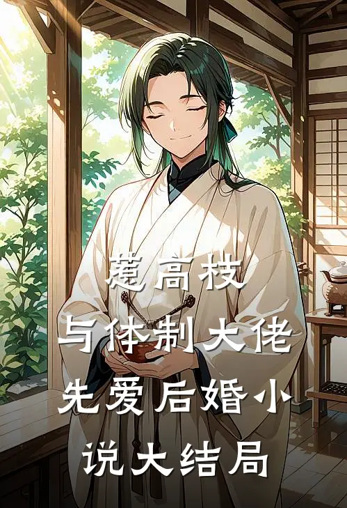 惹高枝：与体制大佬先爱后婚小说大结局